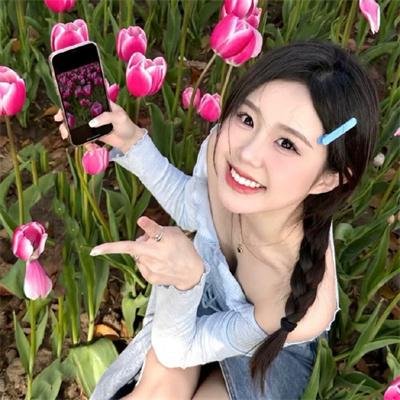 圣鹿之死